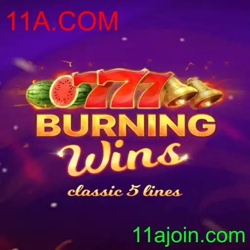 BurningWins